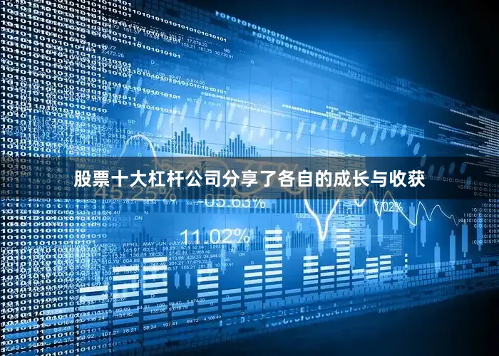 股票十大杠杆公司分享了各自的成长与收获