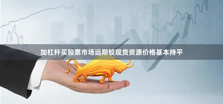 加杠杆买股票市场远期较现货资源价格基本持平