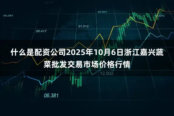 什么是配资公司2025年10月6日浙江嘉兴蔬菜批发交易市场价格行情
