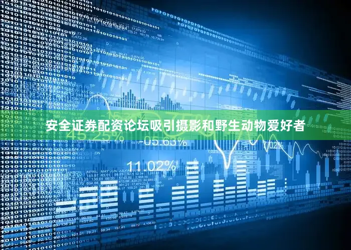 安全证券配资论坛吸引摄影和野生动物爱好者